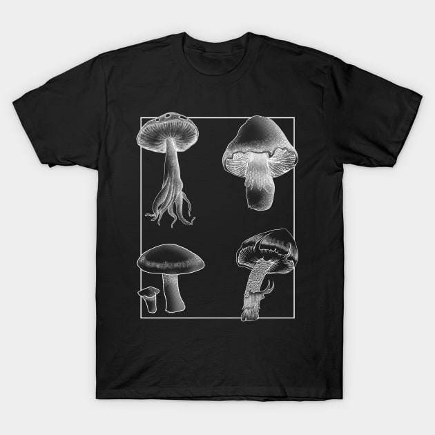 Botanical Mushrooms white lineart T-Shirt by leepianti